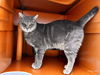 Cobi: Visit at the shelter