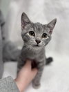 Pebble: At shelter