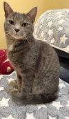 Pebble: Not at Shelter (Faith)