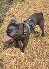 Kane: At shelter
