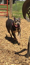 Betty: At shelter