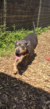 Betty: At shelter