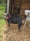 Betty: At shelter