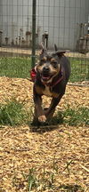 Betty: At shelter