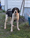 Michael - At shelter available 5/4