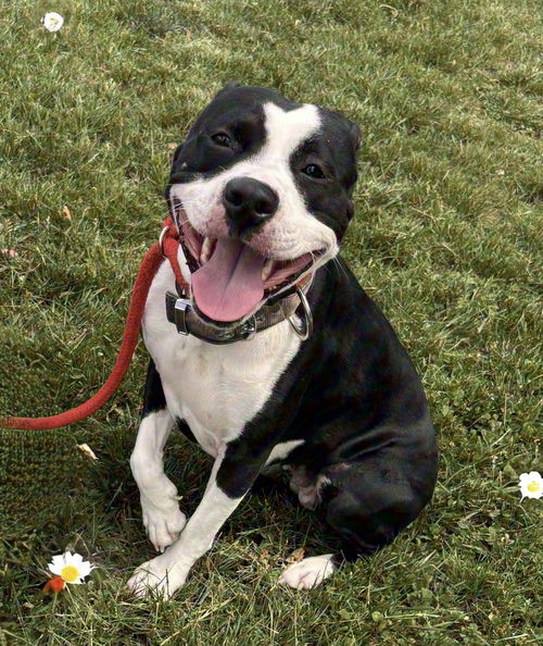 London: At shelter available 5/7