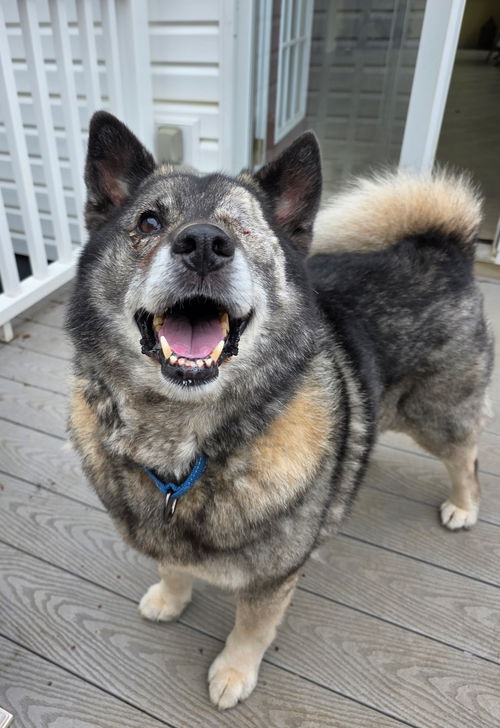 Cody: Not At shelter
