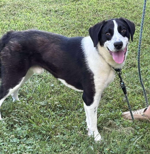 Semi: At shelter