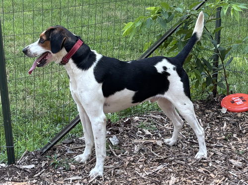 Sterling: At the shelter