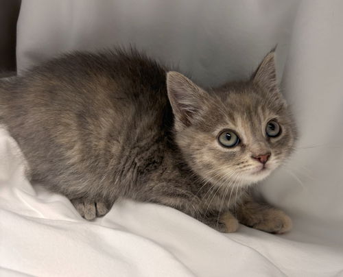 Kiki: At shelter