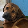 Harry: At shelter