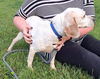 Birdie - Not at shelter (Kendra)