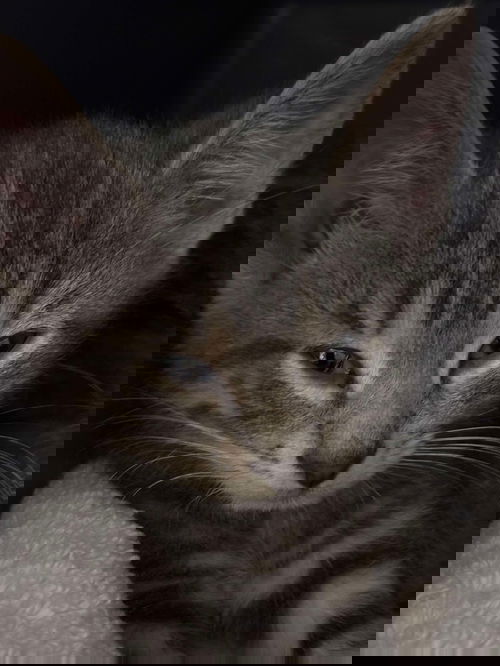 Slate - At shelter