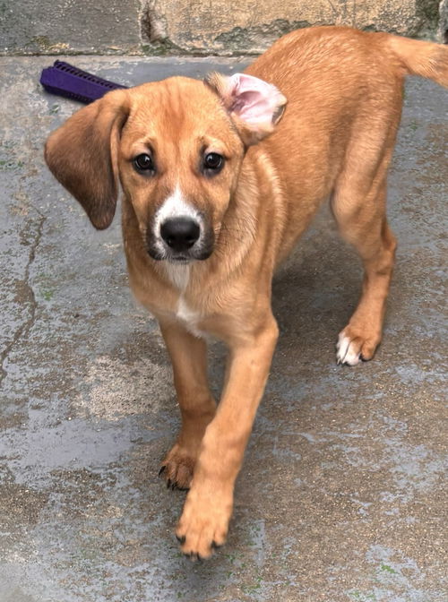 Cutie: At shelter
