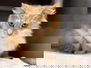 Latte: At shelter