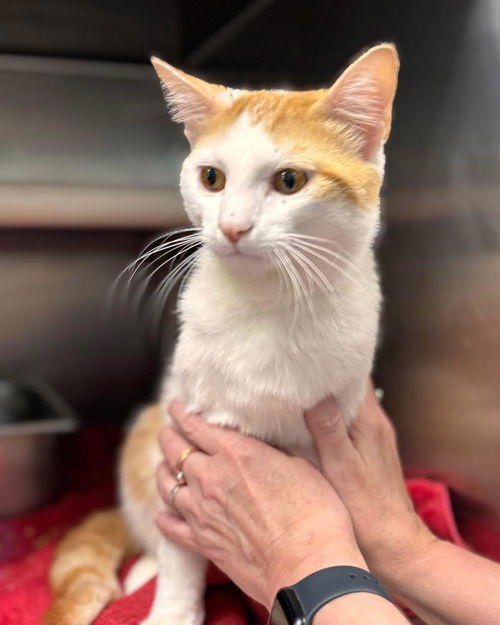 Stanley: At shelter