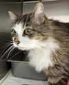 Peekaboo - At shelter