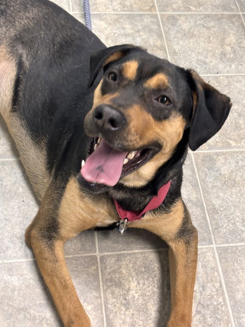 GusGus: At shelter