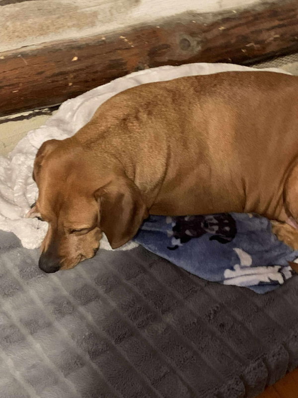 Red: "My Home to Yours"