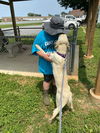 Ritz - At shelter available 6/6