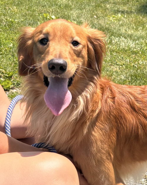 Charley: At shelter