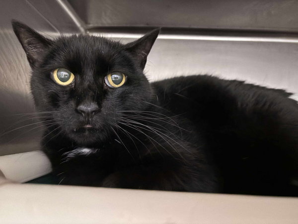 Edwina: Not at shelter (Debra)