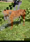 Lee - At shelter available 7/6
