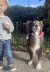 Finn: Not At the shelter (Michelle E)