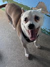 Bobo: At shelter