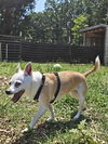 Bobo: At shelter