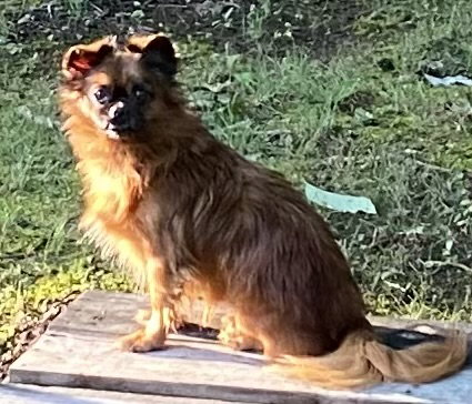 General “Zip:” Not At shelter (Judy)