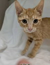 Sally Brown: Visit At Petsmart Lynchburg