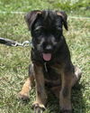 Spree: not at the shelter (Stacey)