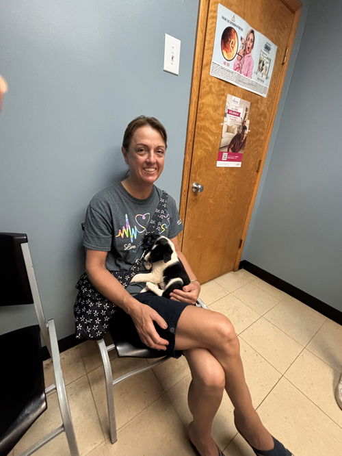Hawk: Not at the shelter
