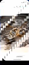 Lizzie - Not At shelter (Barbe )