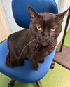 Sheldon: At shelter