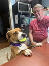 Bella - At shelter