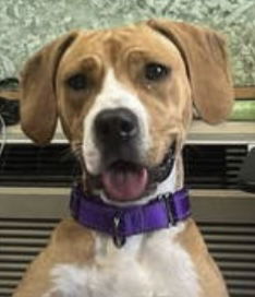 Bella: At shelter