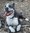 John Wayne: At shelter