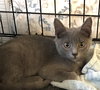 Taryn: Visit at Lynchburg PetSmart