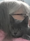Taryn: Visit at Lynchburg PetSmart