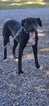 Windy: Not at shelter