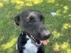 Windy: Not at shelter