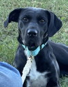 Windy: Not at shelter