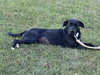 Windy: Not at shelter