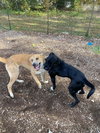 Windy: Not at shelter