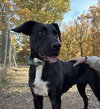 Windy: Not at shelter