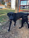 Windy: Not at shelter