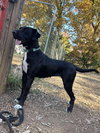 Windy: Not at shelter