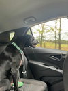 Windy: Not at shelter